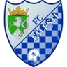 Logo Făleşti