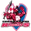 Logo Glenorchy Knights