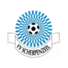 Logo VV Scherpenzeel