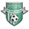 Logo Dukagjini