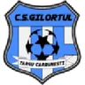 Logo Gilortul