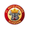 Logo Mecklenburg Schwerin