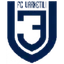 Logo Varketili