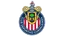Logo Guadalajara W