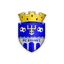 Logo Edineţ