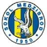 Logo Sokol Medzibrod