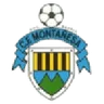Logo Montañesa