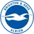Logo Brighton U18