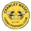 Logo Crawley Wasps W