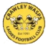 Logo Crawley Wasps W