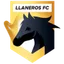 Logo Llaneros W