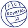 Logo Kopstal 33