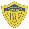 Logo Young Boys