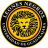 Logo Leones Negros