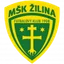 Logo Žilina W