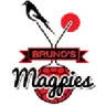 Logo Magpies