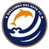 Logo Delfines Del Este