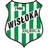 Logo Wisłoka Dębica