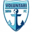 Logo Voluntari II