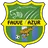 Logo Jeunes Fauves