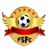 Logo Foncha ST