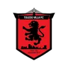 Logo Toledo Villa