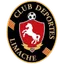Logo Deportes Limache