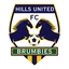 Logo Hills Brumbies