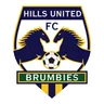 Logo Hills Brumbies