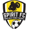 Logo NWS Spirit