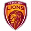 Logo Bulleen Lions