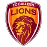 Logo Bulleen Lions