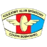 Logo Czarni Sosnowiec W
