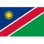 Logo Namibia (nữ)