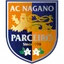 Logo Parceiro Nagano W