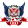 Logo Yichun Grand Tiger