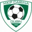 Logo Carina Gubin