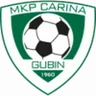 Logo Carina Gubin
