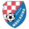 Logo Moslavina