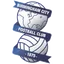 Logo Birmingham City U18