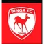 Logo Binga
