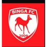Logo Binga