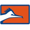 Logo Correcaminos UAT II