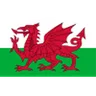 Logo U17 Wales