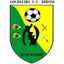 Logo Bibiani Gold Stars