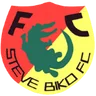Logo Steve Biko