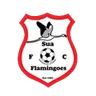 Logo Sua Flamingoes