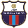 Logo Varesina