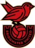 Logo Bridgwater United W