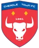 Logo Cheadle Town W